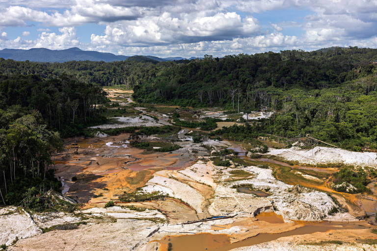 A velha e falsa solução da guerra às drogas
