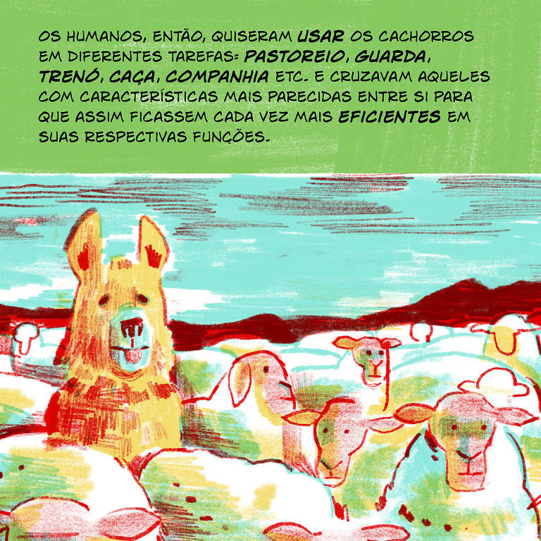 A imagem apresenta um layout dividido em duas partes， com várias ilustrações e blocos de texto coloridos. As seções incluem desenhos de animais， como cães e ursos， além de figuras humanas em cenários variados. As cores predominantes são vermelho， verde， amarelo e azul， com textos explicativos em fundo colorido， destacando diferentes temas relacionados aos animais e à natureza.