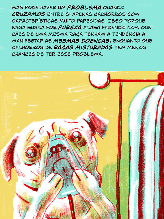 A imagem apresenta um layout dividido em duas partes， com várias ilustrações e blocos de texto coloridos. As seções incluem desenhos de animais， como cães e ursos， além de figuras humanas em cenários variados. As cores predominantes são vermelho， verde， amarelo e azul， com textos explicativos em fundo colorido， destacando diferentes temas relacionados aos animais e à natureza.