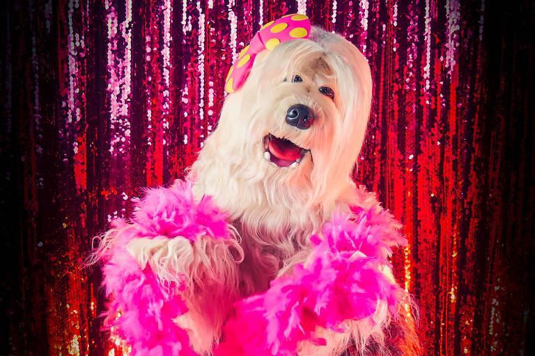 A imagem mostra um urso de pelúcia vestido de forma extravagante, usando uma peruca loira e um chapéu colorido. O urso está segurando um cachecol de plumas rosa e está posando em frente a um fundo brilhante com cortinas de lantejoulas vermelhas e roxas. A expressão do urso é alegre e animada.