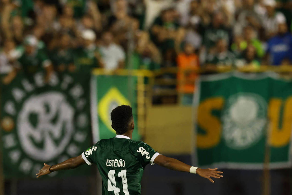 Palmeiras marcha para o tetracampeonato estadual