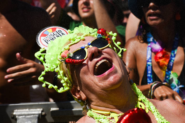 Veja imagens do bloco Sargento Pimenta
