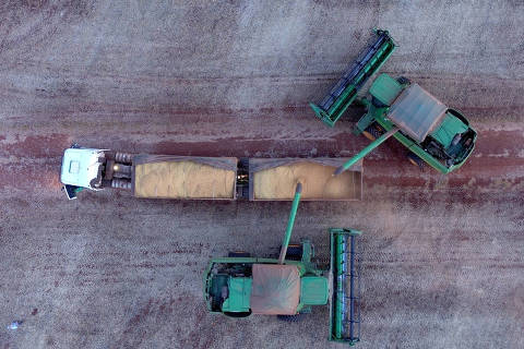 Agro impulsiona alta do PIB no 1º trimestre e ofusca aperto dos juros na economia