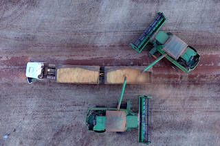 Soybean harvest on a farm in Maringa
