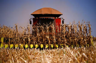 FILE PHOTO: Corn is harvested at a farm near Brasilia