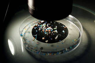 FILE PHOTO: Marine scientist takes part in a research project to assess contamination by microplastics on the coastline