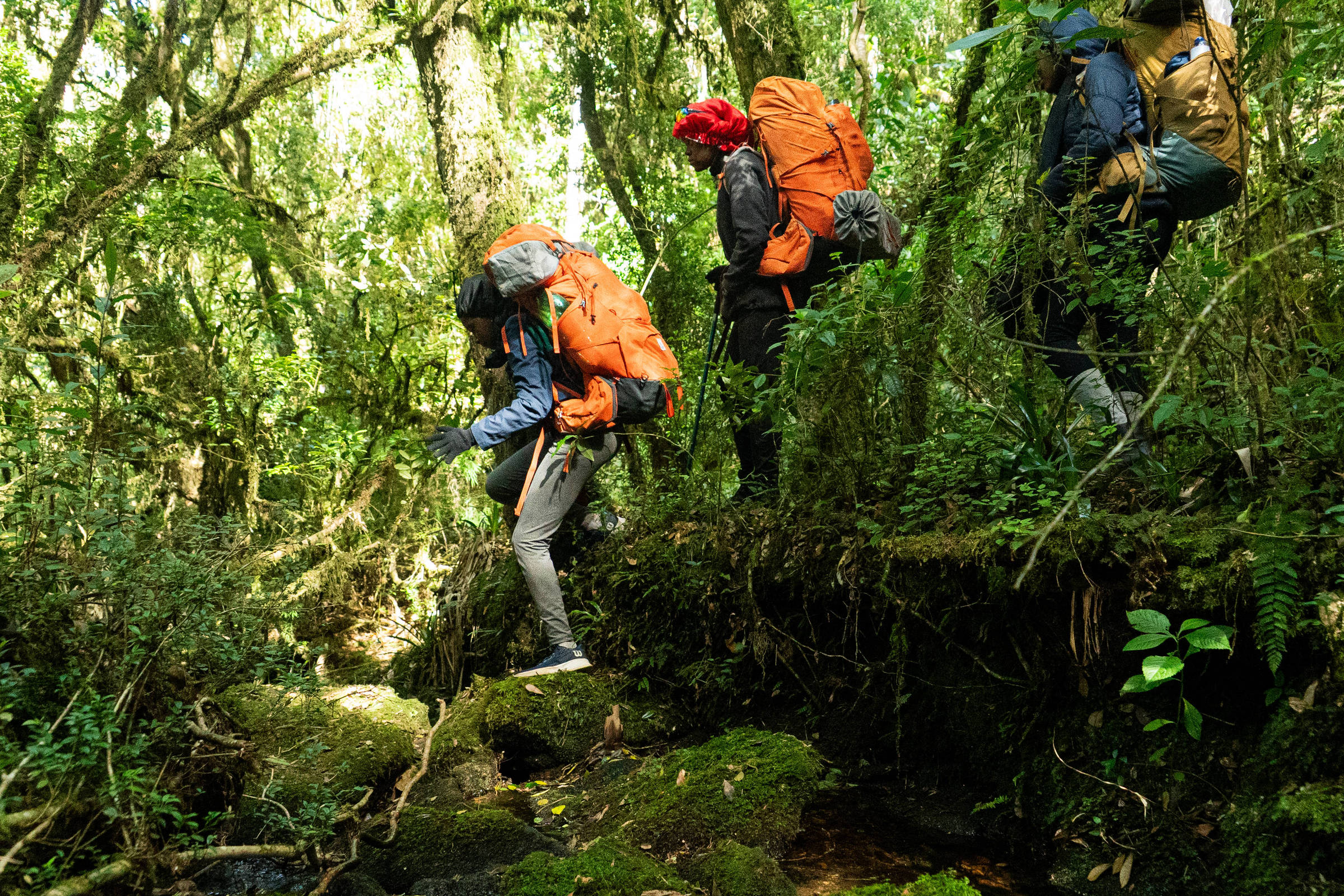 Projetos sociais se unem para iniciar adolescentes nos desafios do trekking