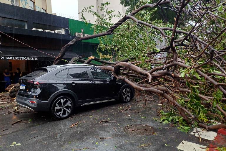 Árvore cai sobre carros e bloqueia rua dos Pinheiros, na zona oeste de São Paulo; ocorrência não deixou feridos