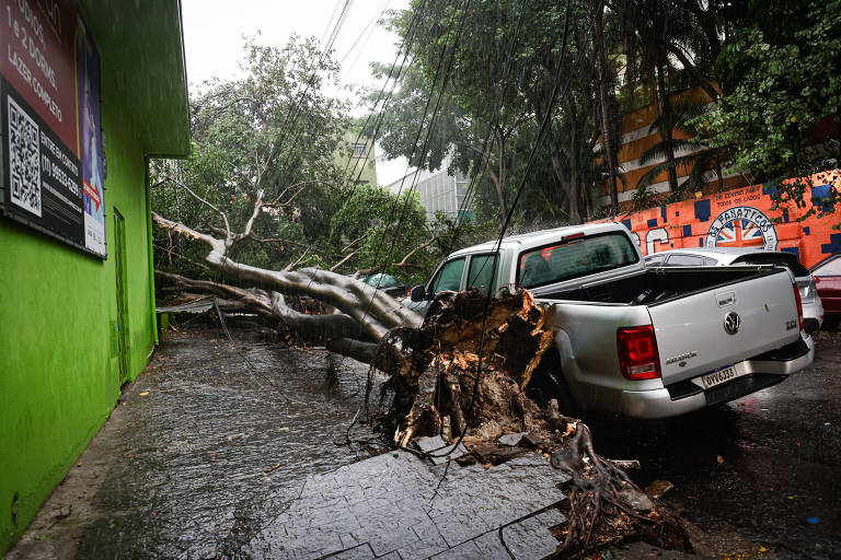 Árvore cai sobre carros na rua Ana Cintra, na esquina com a Barão de Campinas, na região central de São Paulo
