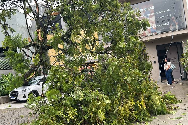 A imagem mostra uma árvore caída em frente a um edifício. A árvore está parcialmente sobre a calçada e a rua, com galhos e folhas espalhados. Ao fundo, há um carro estacionado e uma mulher de pé, observando a situação. O edifício possui uma fachada moderna e uma placa visível com texto em português.