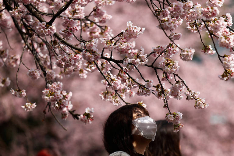 A imagem mostra uma pessoa usando uma máscara facial, olhando para cima, sob um ramo de cerejeiras em flor. As flores são predominantemente rosa, criando um fundo suave e colorido. Ao fundo, outra pessoa é visível, mas não é possível identificar detalhes.