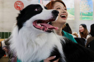 A restaurant in Shanghai hosts feast for pets ahead of the Lunar New Year