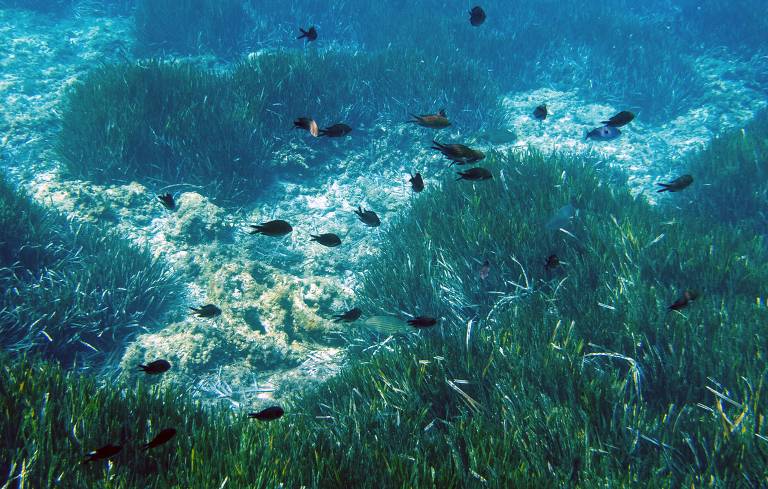 Mar Mediterrâneo, perto de de Marselha, na França