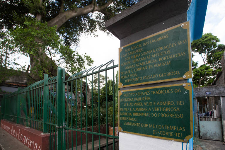 Poemas foram impressos em placas de metal ao lado da figueira das Lágrimas