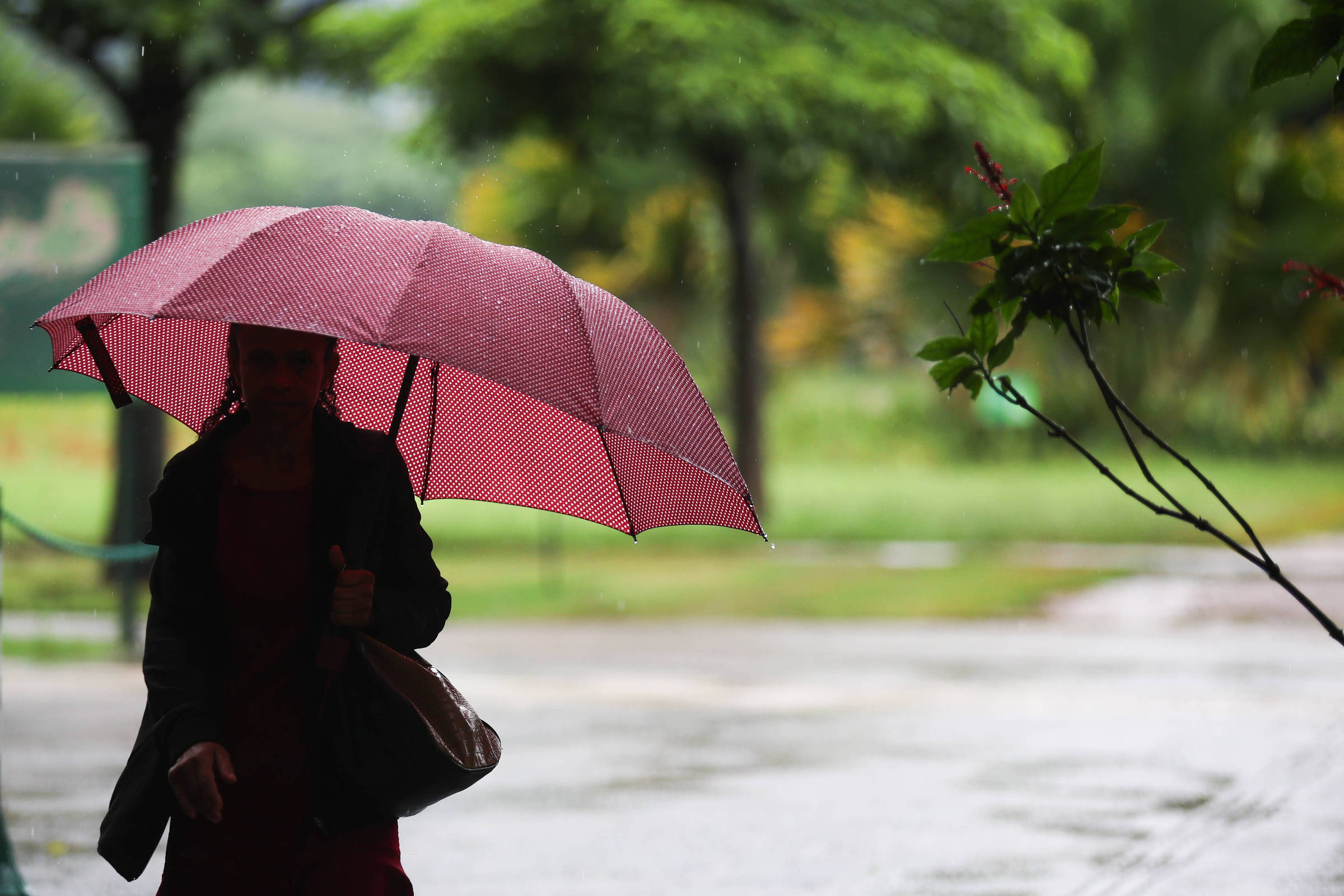 SP terá pancadas de chuva ao longo da semana e temperatura deve subir