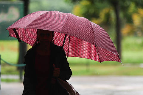 SÃO PAULO/ SP. Brasil. 30.01.2025. Chuva na tarde desta quinta feira,30, na região do Parque do Povo na av Cidade jardim.  (Foto: Zanone Fraissat/ Folhapress/POLÍTICA) ***EXCLUSIVO ***