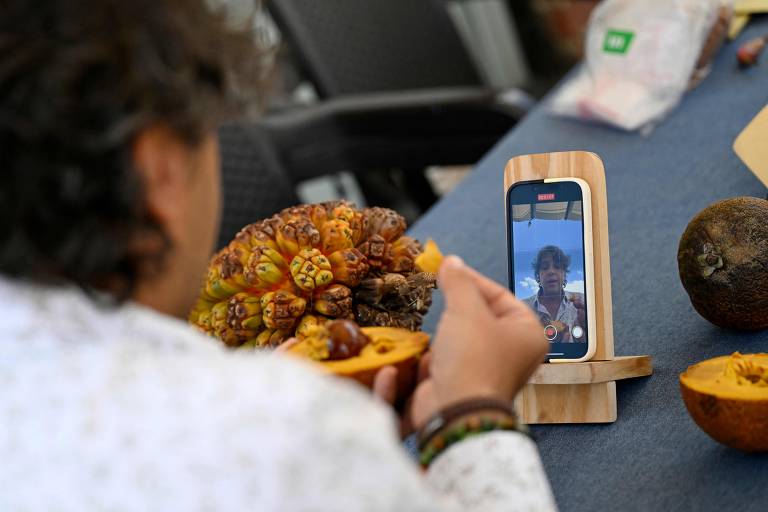 Influencer colombiano aposta em frutas nativas para salvar biodiversidade