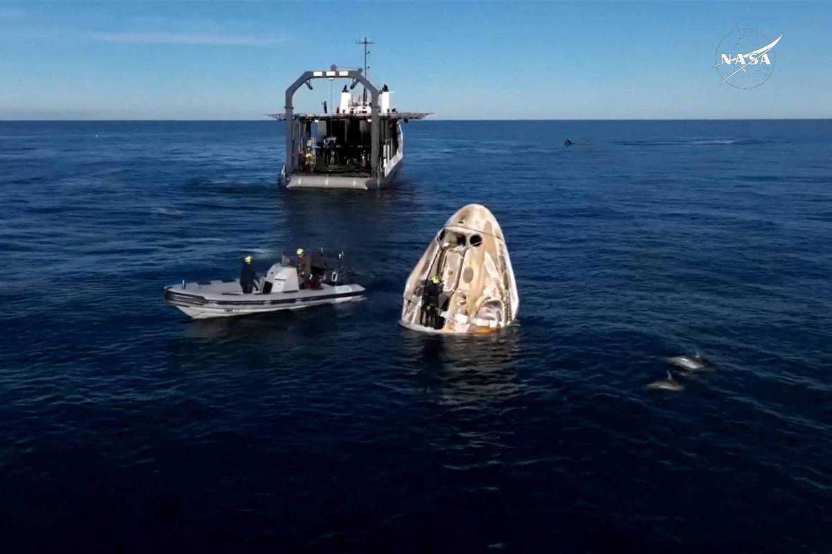 Golfinhos chamam a atenção ao nadar perto de cápsula com astronautas