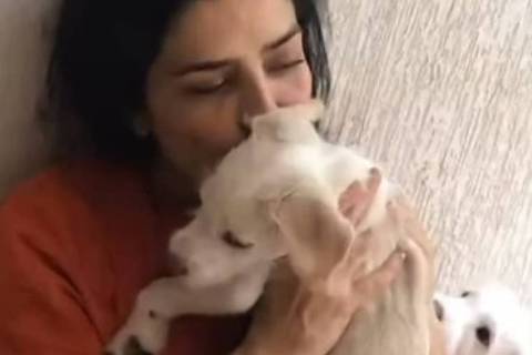 Letícia Sabatella diz ter seus cães doados sem consentimento