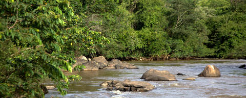Projeto da Ambev em parceria com The Nature Conservancy e WWF Brasil protege ecossistemas ligados à água, como florestas, zonas úmidas e rios