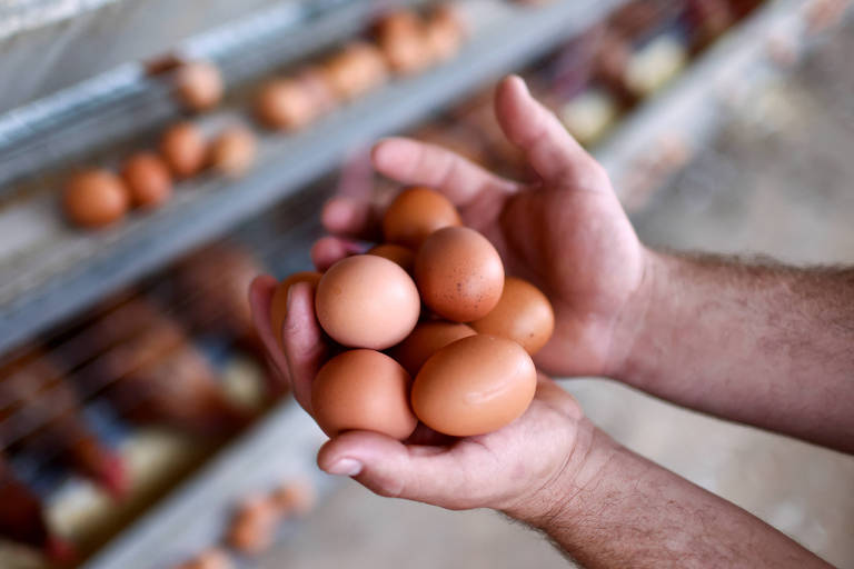 Veja o que mais subiu nos supermercados em fevereiro