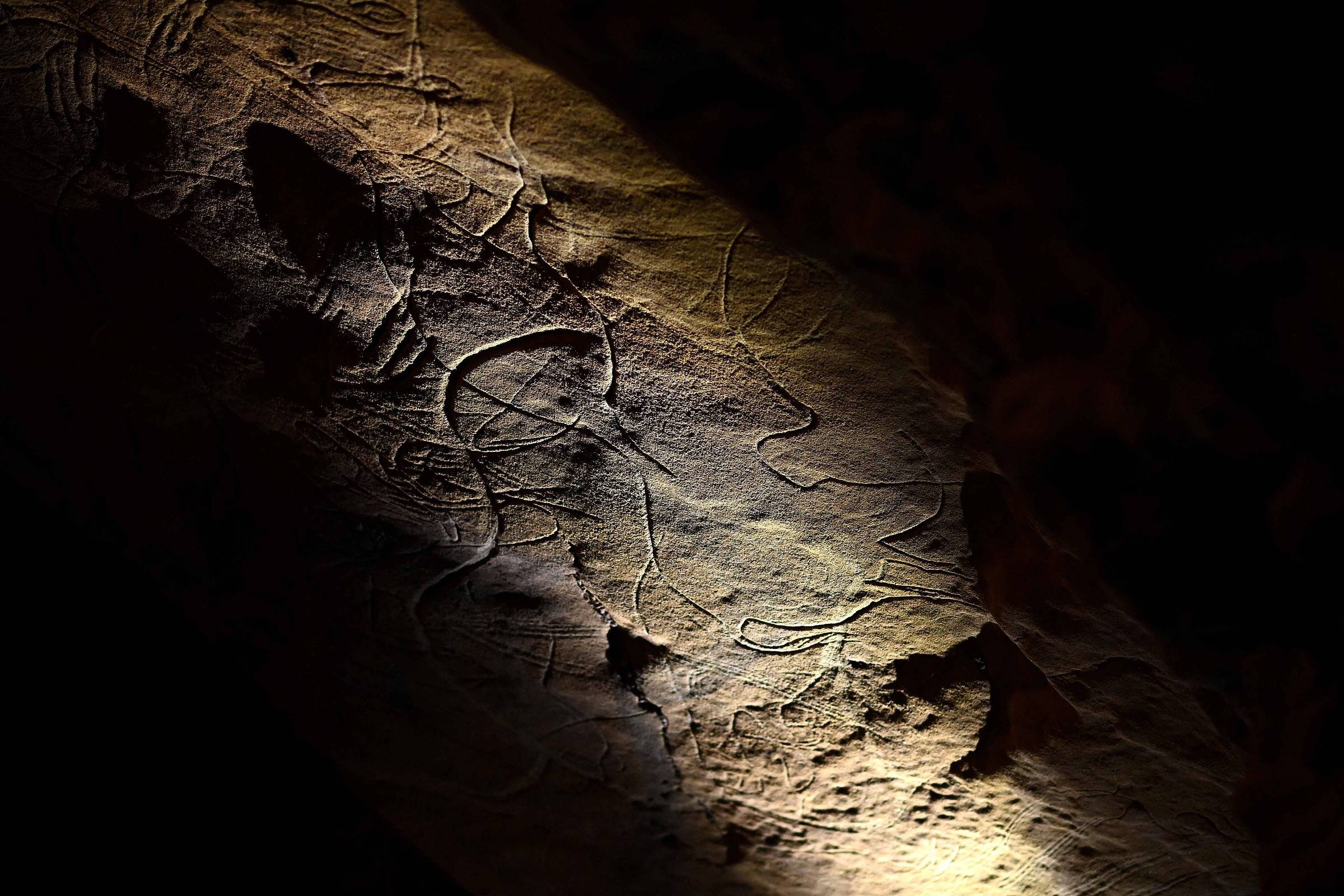 Caverna pré-histórica descoberta por acaso na França é mostrada pela primeira vez