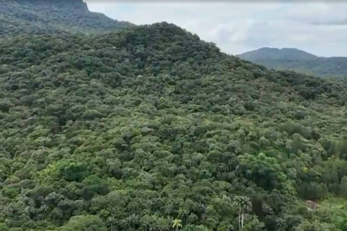 Pai suspeito de sequestrar filha em Santa Catarina é preso em favela do RJ