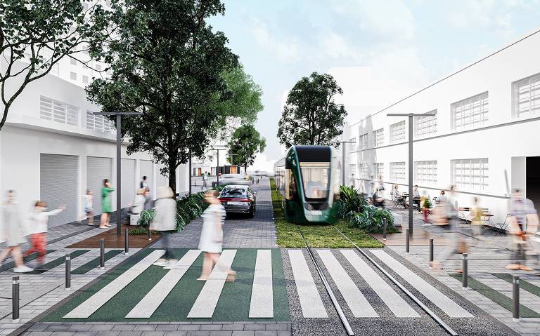 Linhas do VLT paulistano deverão ter os nomes de jequitibá e sibipiruna