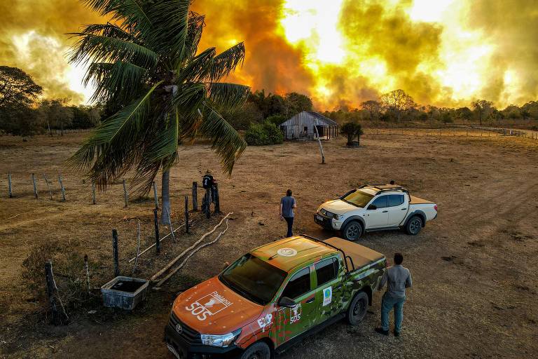 SOS Pantanal conta em livro como engajou corações e mentes em defesa do Pantanal