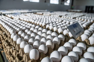 MPME - pequenos e médios produtores de ovos sobre preços altos