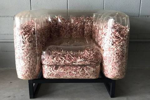 O projeto Tran$forma usa cédulas de real descartadas após erros de impressão como matéria-prima para fabricação de cadeiras, sofás, pufes, almofadas e objetos decorativos. A iniciativa é uma parceria da empresa paulista Equipa Group com a Casa da Moeda do Brasil.