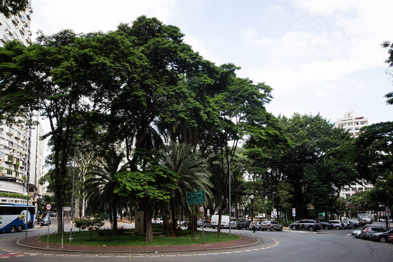Meio ambiente: menos enrolação, mais ação