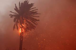 The Wider Image: 'The worst I've seen:' Reuters visuals journalists on the LA wildfires