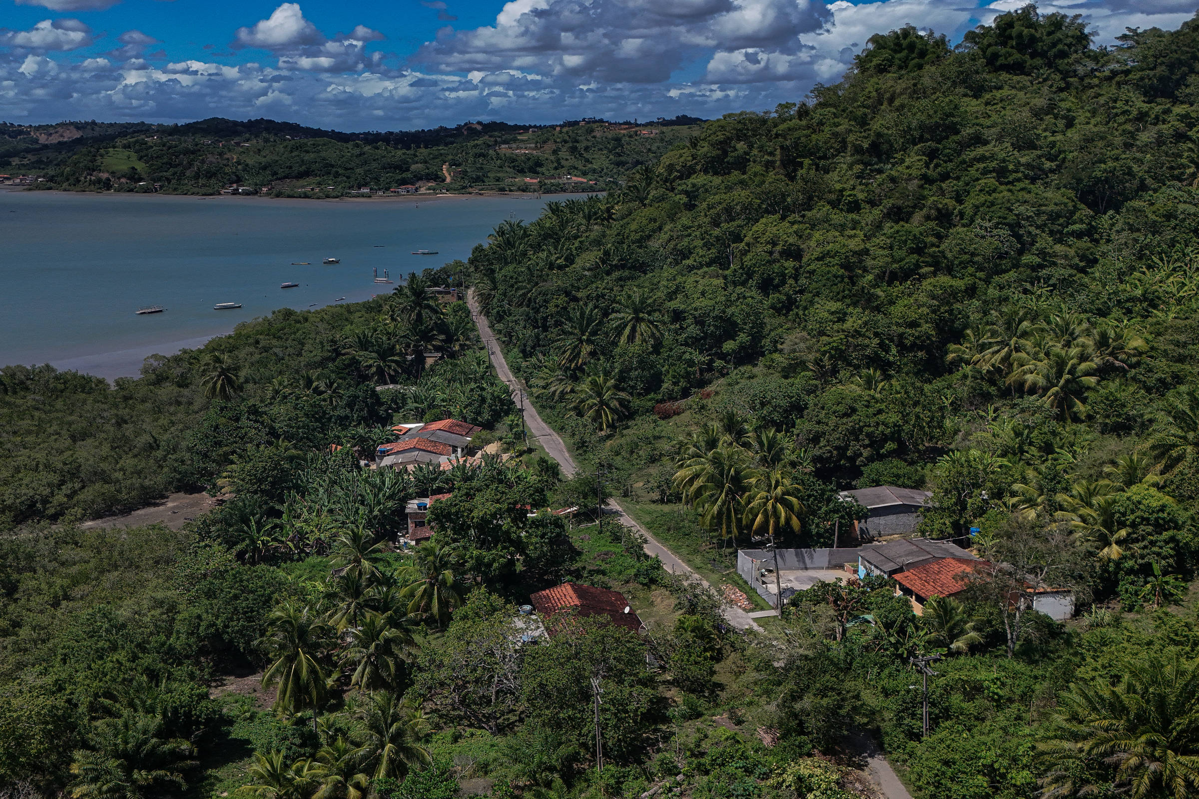 Governo cria comitê para planejar ações de combate ao racismo ambiental
