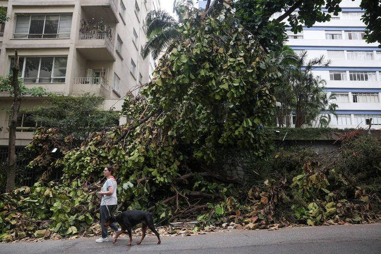 Ciclone no Sul e passagem de frente fria devem provocar vento forte nesta segunda (28) em São Paulo
