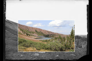 Bald Lake in 1870, overlaid with an image from 2024. (William Henry Jackson (1870); Joanna Corimanya, Anah Quezada and Townsend Peterson (2024) via The New York Times)