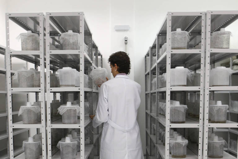 A imagem mostra uma pessoa de costas, vestindo um jaleco branco e botas brancas, em um laboratório. Ela está entre duas estantes metálicas brancas, que contêm recipientes transparentes com tampas. O ambiente é bem iluminado e possui paredes e piso brancos.