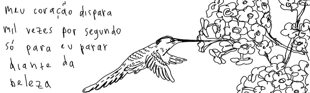 A tirinha em preto e branco de Estela May, publicada em 04/04/25, traz um beija-flor sugando uma flor. À esquerda da imagem, “meu coração dispara mil vezes por segundo só para eu parar diante da beleza”.