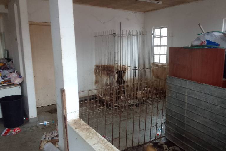 A imagem mostra um espaço interno com uma jaula de metal ao fundo. A jaula está suja e abriga um animal. O ambiente é desorganizado， com lixo e objetos espalhados pelo chão. À esquerda， há uma lixeira preta e uma mesa com itens desordenados. A parede é branca e há uma porta e uma janela que permitem a entrada de luz.