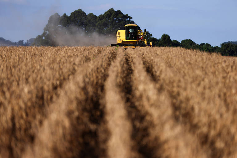 Acordo entre EUA e China sobre tarifas pode respingar sobre agro brasileiro, diz presidente da CNA