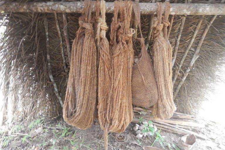 As redes podem medir até 2 metros de comprimento