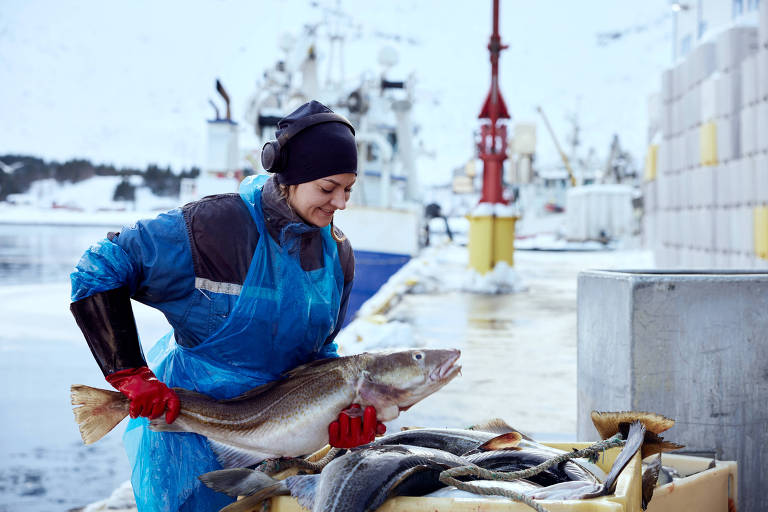 Cidade da Noruega pesca, salga e exporta bacalhau, protagonista da Páscoa