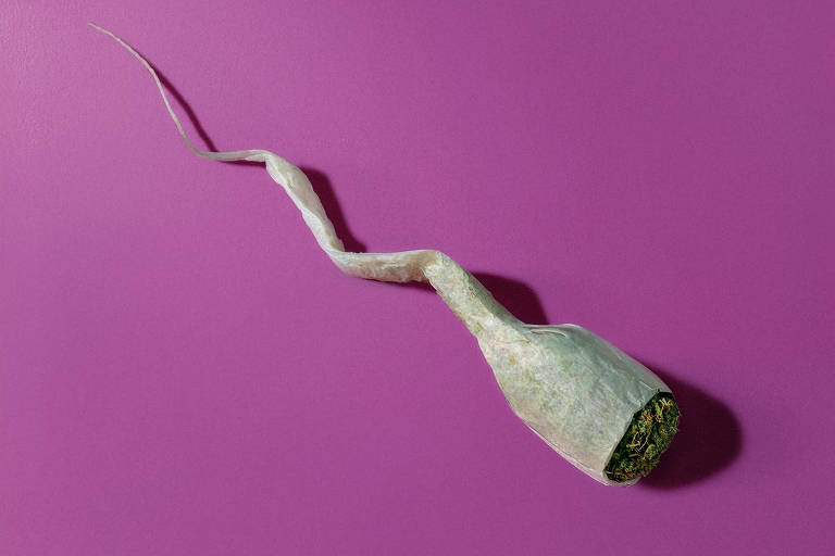 Uso frequente de maconha pode afetar qualidade do esperma, apontam estudos