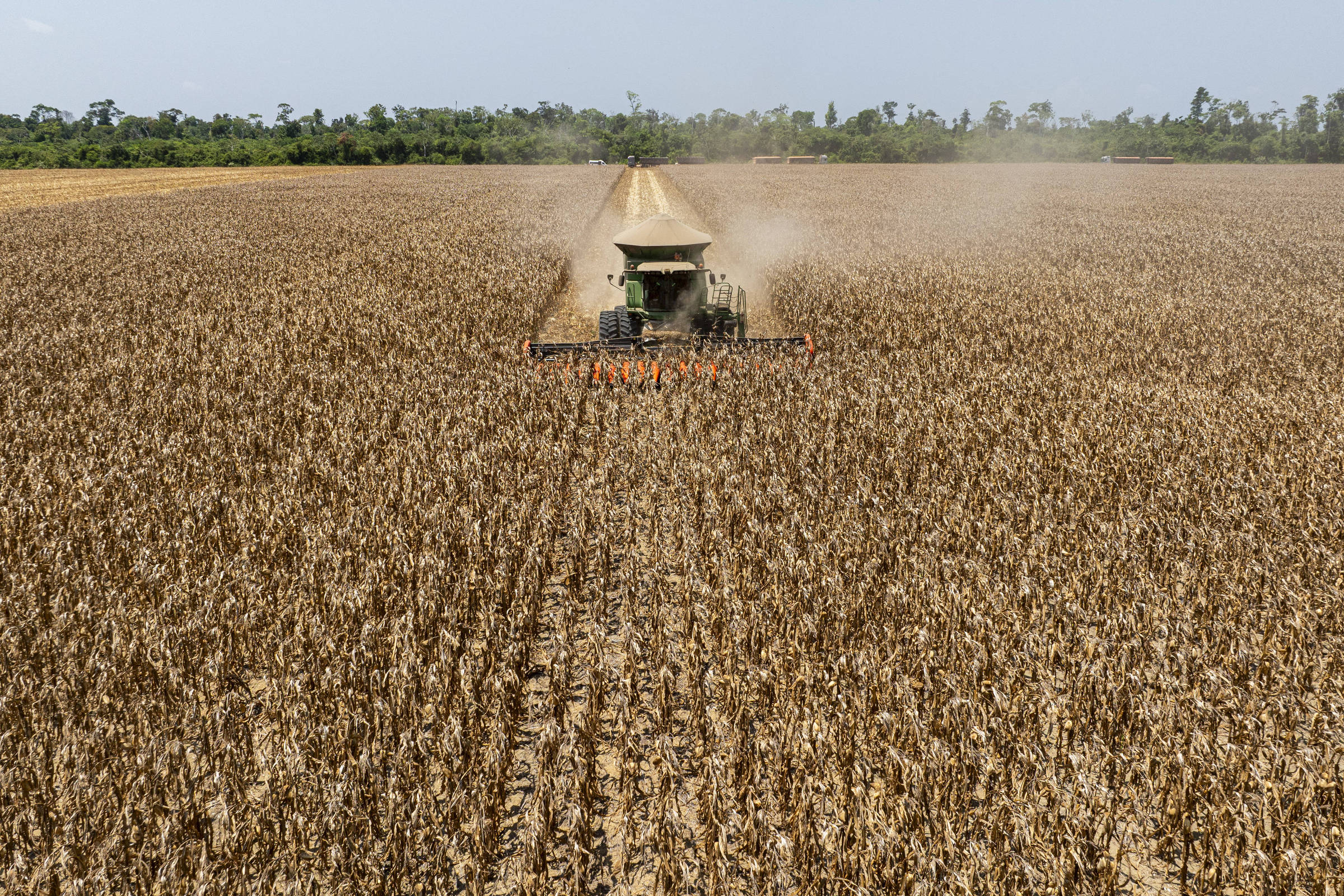 Safra de grãos é maior, e estoque de produtos básicos aumenta