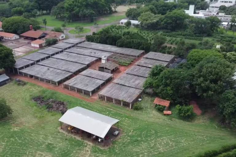 Justiça suspende audiência da gestão Tarcísio sobre venda de fazendas de pesquisa em SP