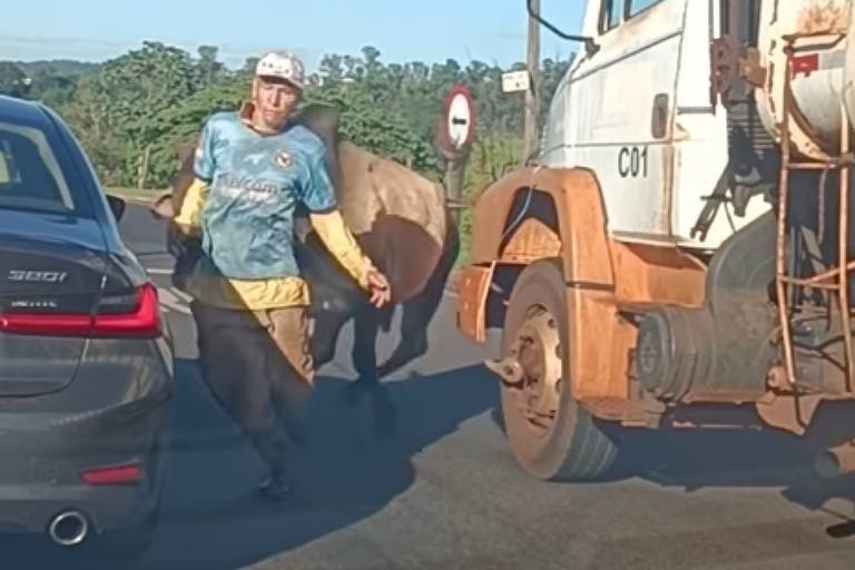 Touro persegue trabalhador, entra em avenida de Ribeirão Preto e acerta carro de luxo