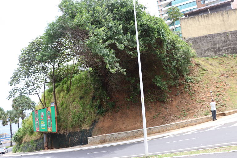 Justiça remarca julgamento de ação que questiona constitucionalidade de venda de áreas verdes em Salvador