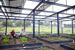 MEXICO-CIUDAD DE MEXICO-PARCELA AGROVOLTAICA