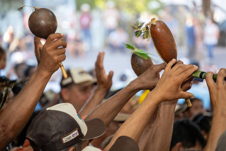 Florestas megadiversas são legado dos povos indígenas