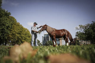 Cavalo Caramelo